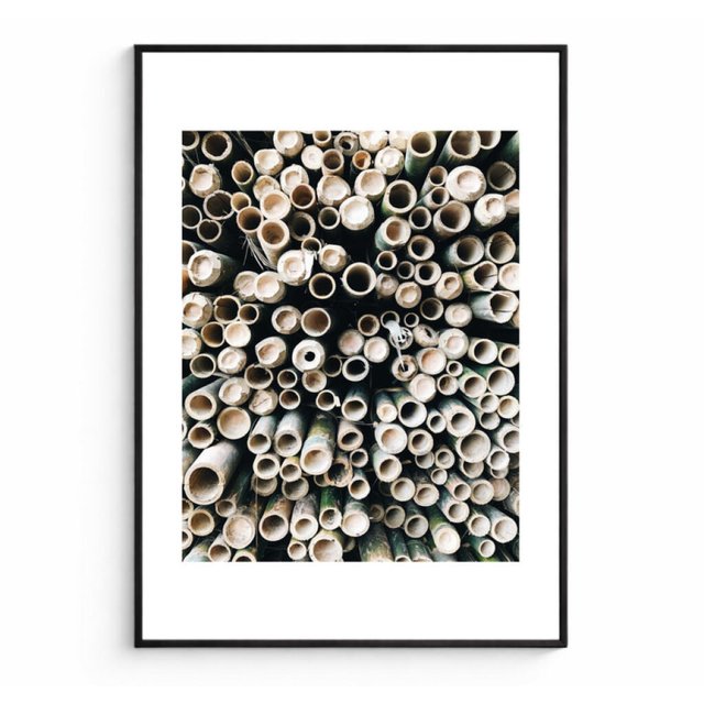 Quadro bambu senses